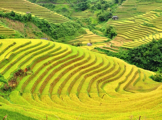 Off the beaten track in North Vietnam, rice valley in Sapa